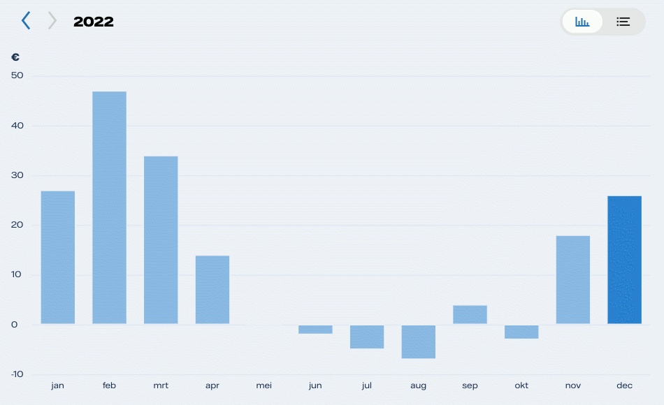 Souhrnný graf měsíčních nákladů za elektřinu